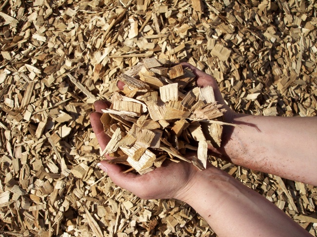 woodchips exportrd to Japan