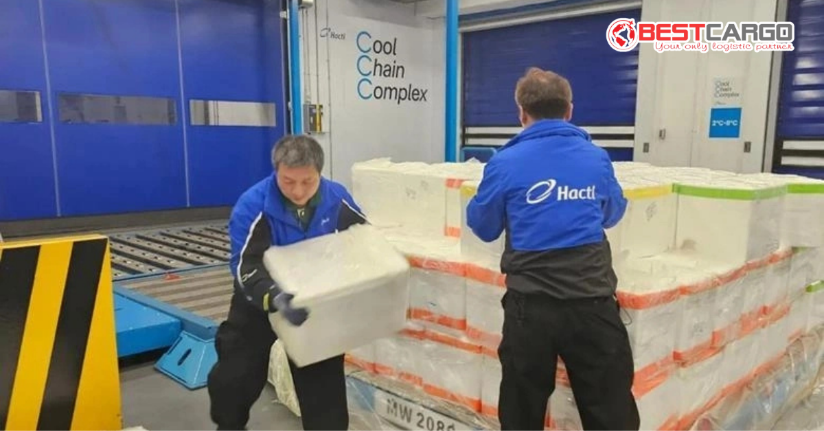 Vận chuyển Hàng dễ hỏng (Perishable Cargo) theo IATA PCR