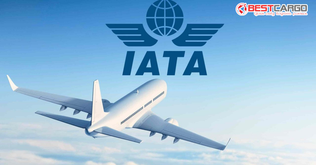 IATA AHM (Aircraft Handling Manual) và Tiêu Chuẩn Phục Vụ Máy Bay (Ground Handling)