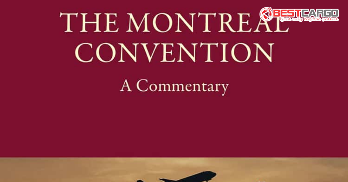 Đơn Vị Định Giá SDR (Special Drawing Rights): Cách Ảnh Hưởng Đến Chi Phí Bồi Thường Hàng Không