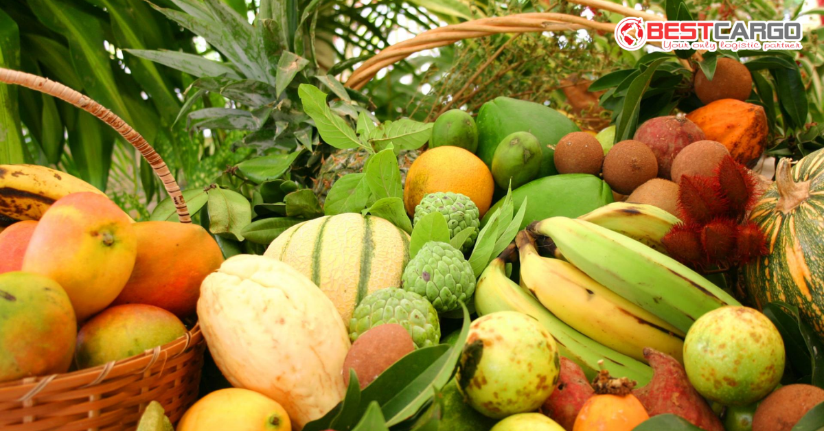 Logistics Hàng Nông Sản Tươi Sống (FLORA/FRUITS): Quản Lý Khí Ethylene và Tốc Độ