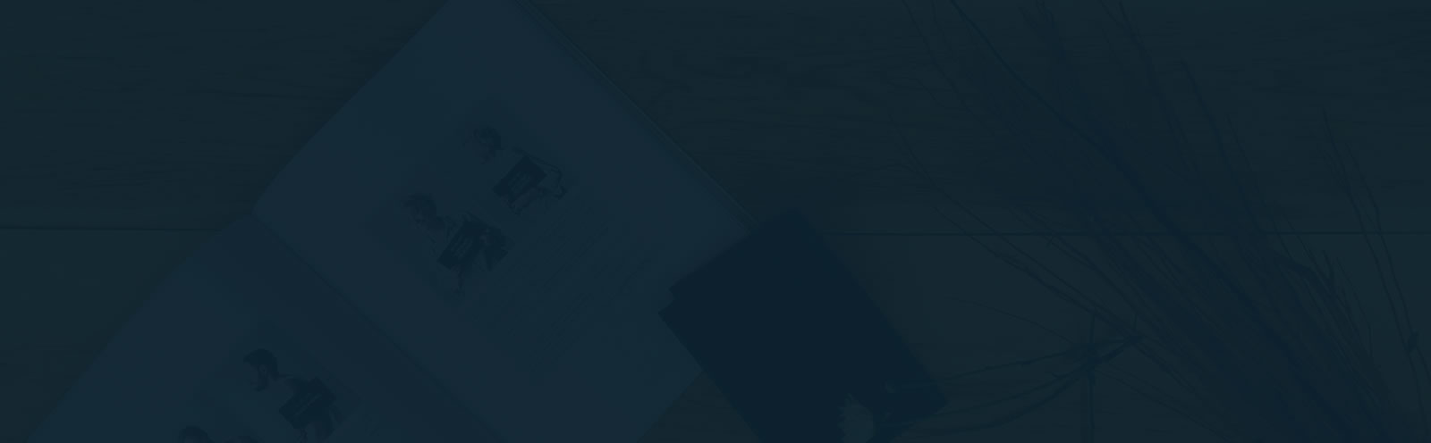 Best Cargo Logistics, Express Delivery In Vietnam