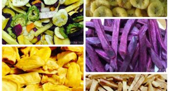 RETAIL WHOLESALE FRUIT EXPORT DA LAT DRYER WITH Bestcargo