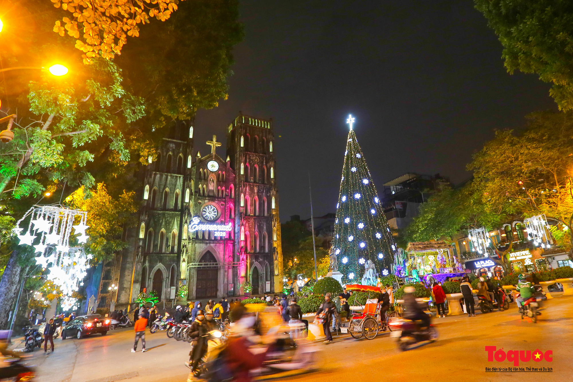 Christmas Tree Freight Service from Hanoi to Can Tho in a special deal of up to 10%