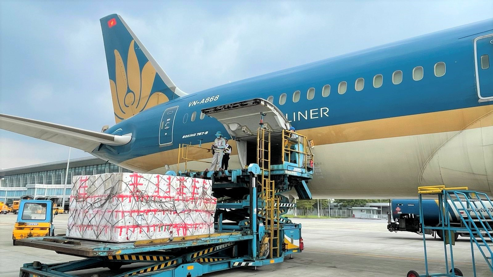 Vietnam Airlines has set up air transportation