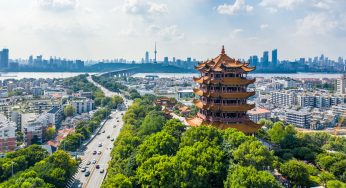 Shipping goods from Da Nang to Wuhan (China)