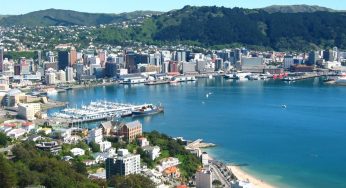 Exporting from Da Nang City to Wellington (New Zealand) by air