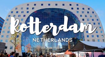 Transporting goods from Ho Chi Minh’s Airport SGN to Rotterdam