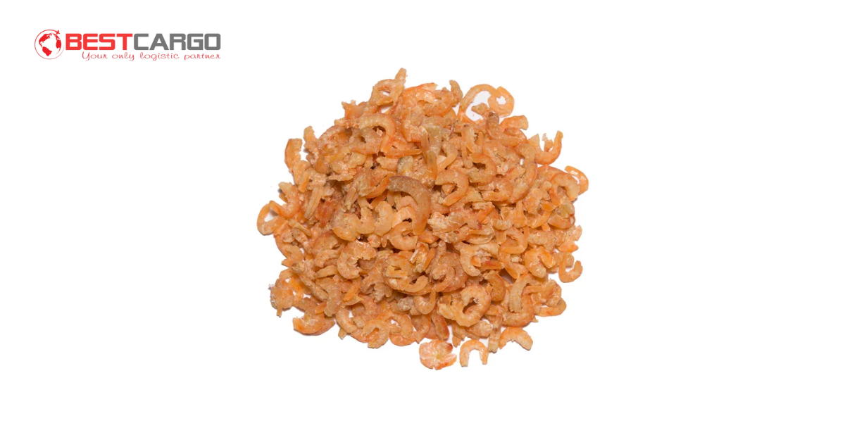 Popular Dried Shrimp Products for Export