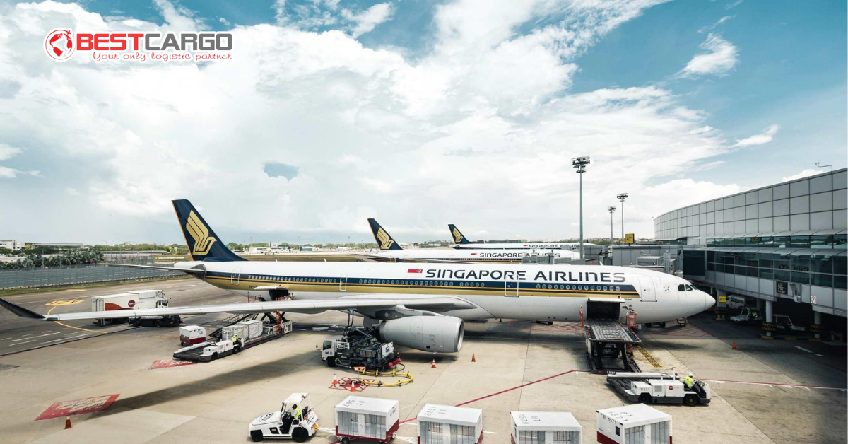Key Features of the Cargo Expansion