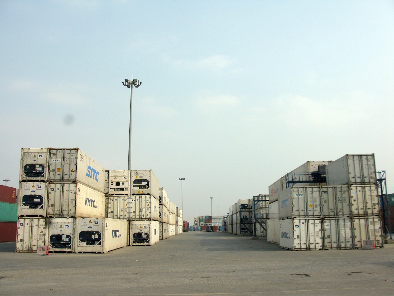 Bestcargo có container lạnh phục vụ chuyên chở hàng đông lạnh xuất khẩu