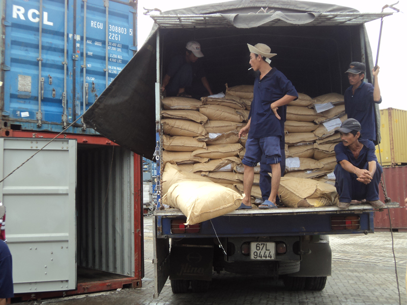 Bestcargo tổ chức xếp dỡ hàng hóa tại cảng Hải Phòng