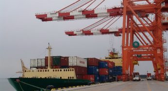 Vận chuyển đường biển từ Hải Phòng đi cảng Thanh Đảo