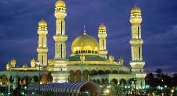 Chuyển gửi hàng hóa uy tín qua dịch vụ chuyển phát nhanh chóng UPS Brunei