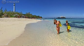 UPS-Dịch vụ chuyển phát nhanh tới New Caledonia hàng đầu thế giới