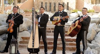 UPS-Dịch vụ chuyển phát nhanh tới Mexico hàng đầu thế giới