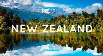 UPS-Dịch vụ chuyển phát nhanh tới New Zealand hàng đầu thế giới