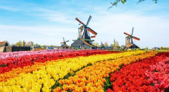 Dịch vụ chuyển phát nhanh tài liệu từ Việt Nam đi Hà Lan chất lượng cao