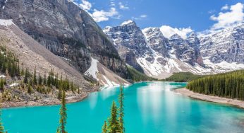 Làm sao để chuyển phát nhanh đi Canada nhanh chóng?