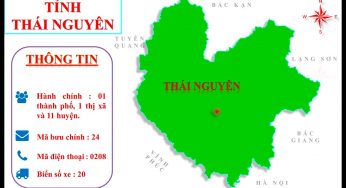 Chành xe vận chuyển hàng hóa Sài gòn-Thái Nguyên siêu nhanh, siêu rẻ