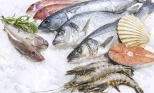 Dịch vụ chuyển hàng đông lạnh đảm bảo