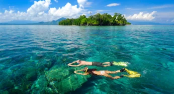Dịch vụ mua hàng hộ từ Indonesia về Việt Nam