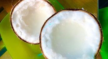 Chuyển phát nhanh dừa sáp từ Hồ Chí Minh đi Thọ Xuân nhanh chóng