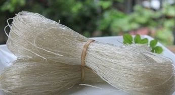 Vận chuyển hàng hóa từ Hòa Bình đi Lào giá rẻ, nhanh chóng