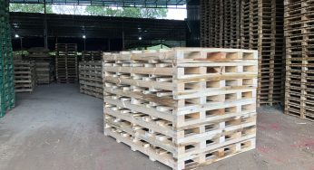 CÁC LOẠI PALLET THÔNG DỤNG TRONG VẬN CHUYỂN HÀNG HÓA
