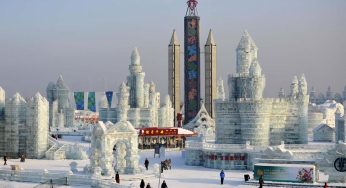 Vận chuyển cá tra đi Hắc Long Giang