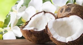 Loại Quả Quen Thuộc Của Việt Nam Bị Nhiều Hãng Hàng Không Cấm
