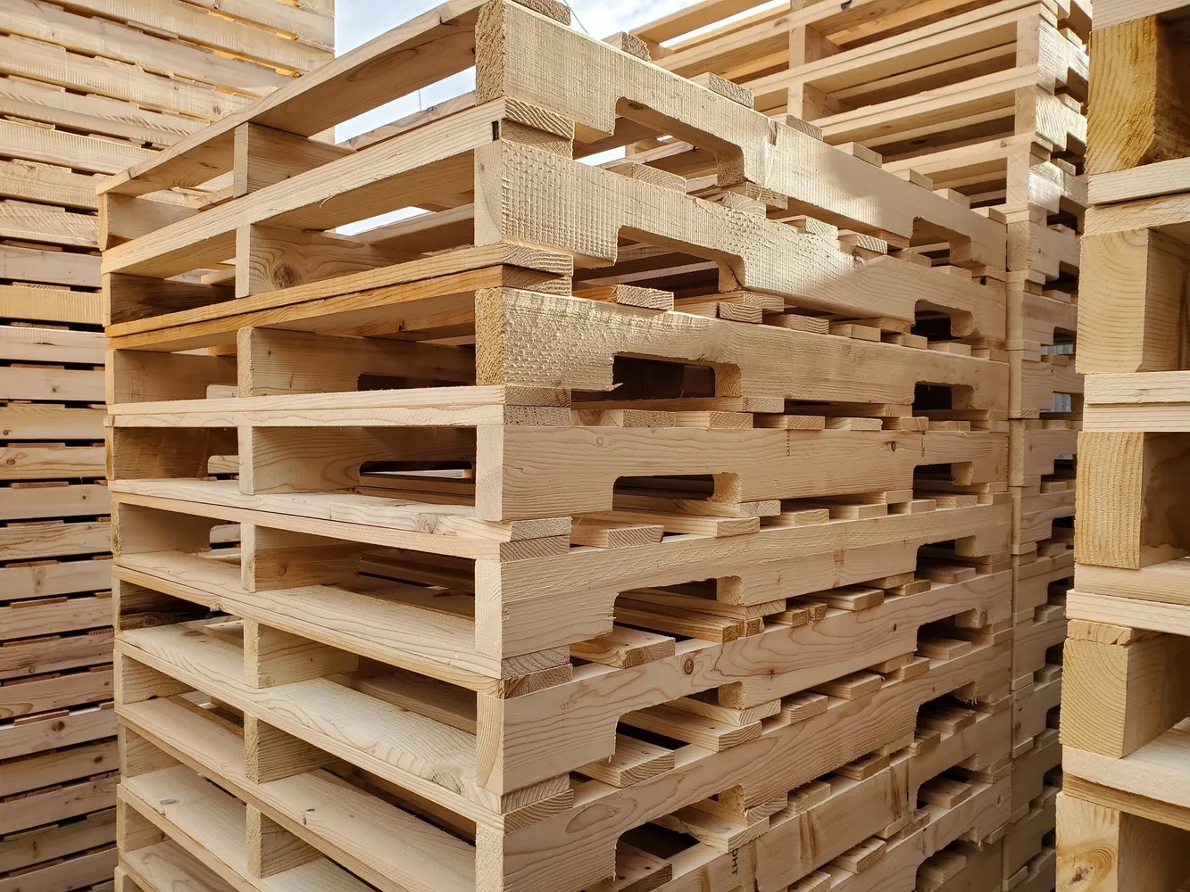 Pallet: Chiếc "Bệ Đỡ" Thầm Lặng Của Chuỗi Cung Ứng