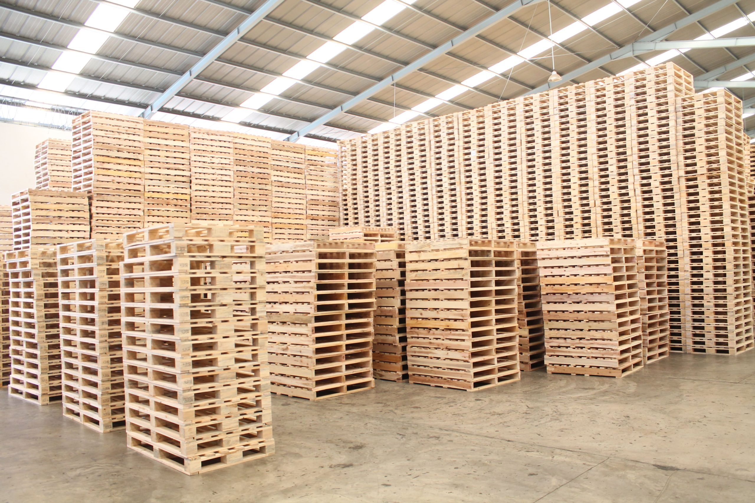 Pallet: Chiếc "Bệ Đỡ" Thầm Lặng Của Chuỗi Cung Ứng