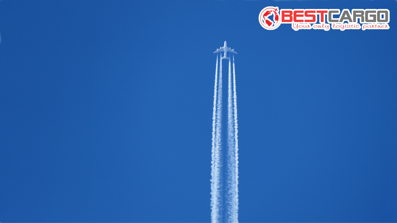 Nâng Cấp Hệ Thống Xử Lý Cargo Tại Cam Ranh – Bước Chuyển Mình Cho Logistics Miền Trung?