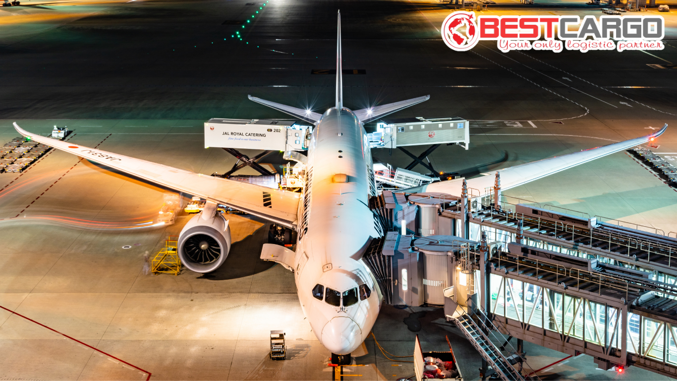 Organization of Air Freight Forwarders: Key Functions and Training Needs
