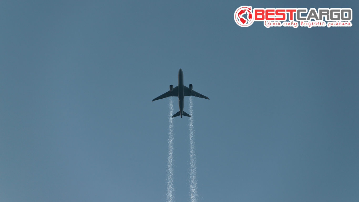 Cargo Handling: Quy trình xử lý hàng hóa trong vận tải hàng không