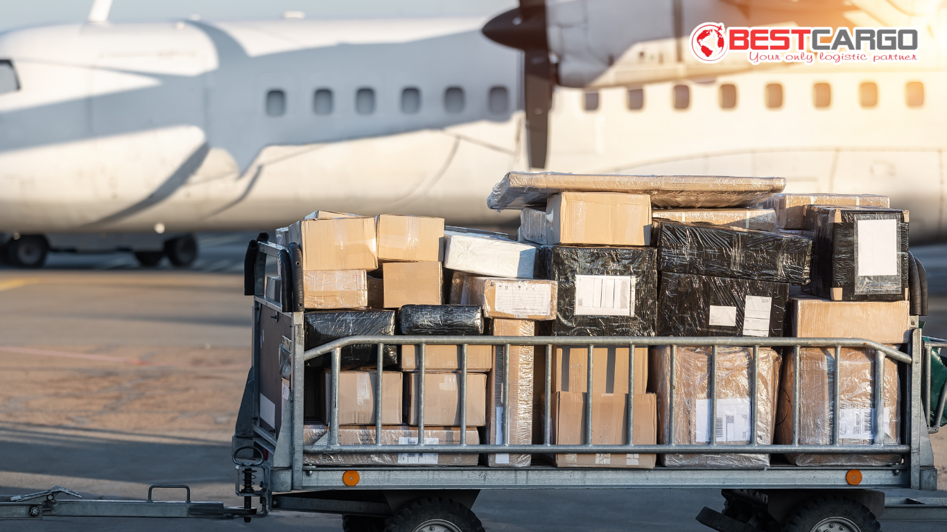 Mail & Courier Cargo: Khi thư tín và bưu kiện vẫn bay song hành cùng thời đại số
