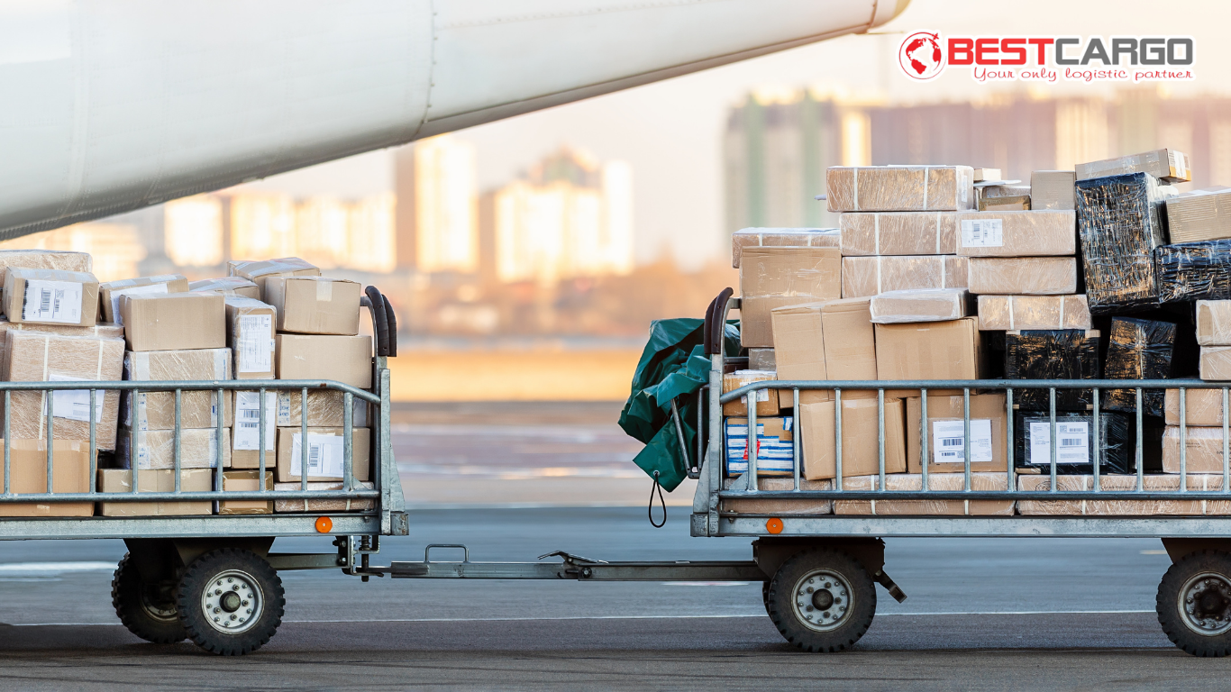 Special Cargo là gì? Bên trong hành trình vận chuyển những lô hàng “đặc biệt” trên không