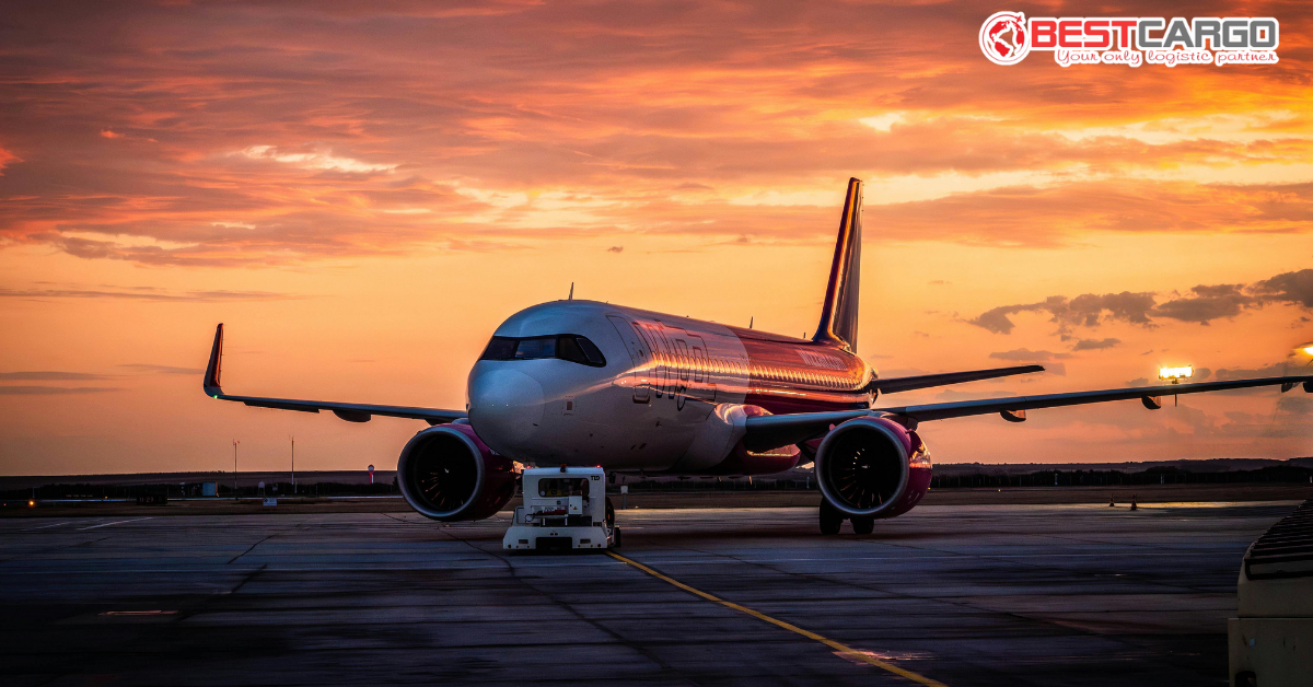 Temperature-Controlled Cargo: Cách hàng tươi sống và vaccine được giữ lạnh trên không