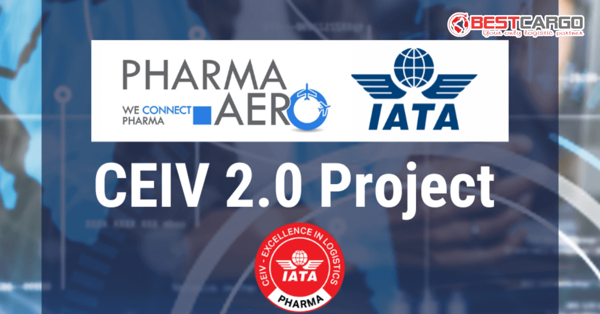 Chứng Nhận IATA CEIV Pharma: Tiêu Chuẩn Vàng Đảm Bảo Chuỗi Lạnh Dược Phẩm Bằng Air Cargo