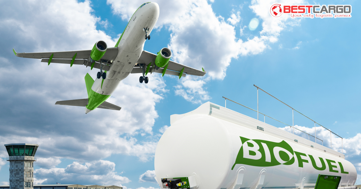 IATA Time & Temperature Sensitive Manual (TTSR) và Vận Tải Máu/Mô Người