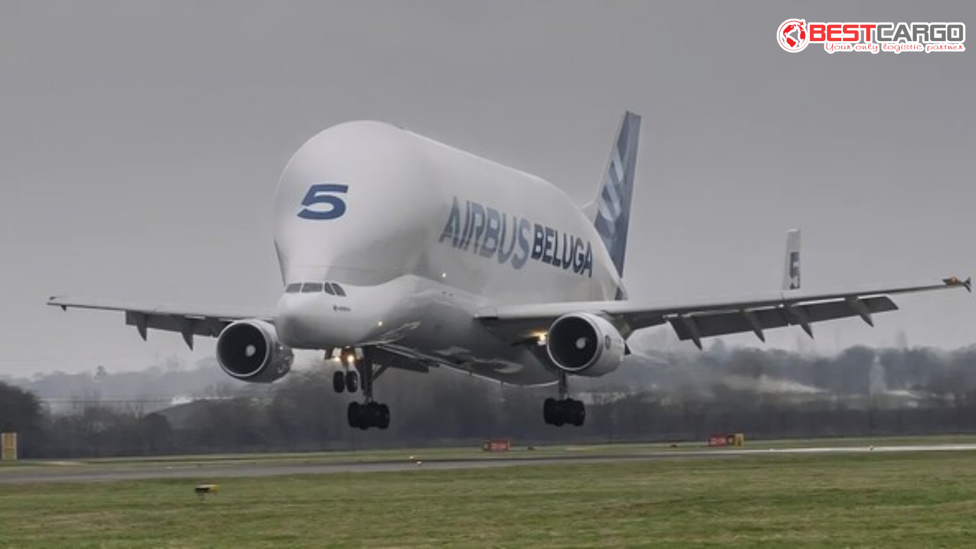 Airbus BelugaST-5: Biểu Tượng Cá Voi Trắng Chính Thức Nghỉ Hưu