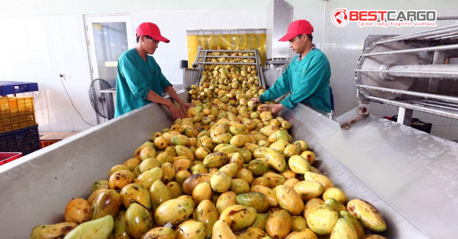 Quy Trình Vận Chuyển Trái Cây Tươi Bằng Đường Hàng Không