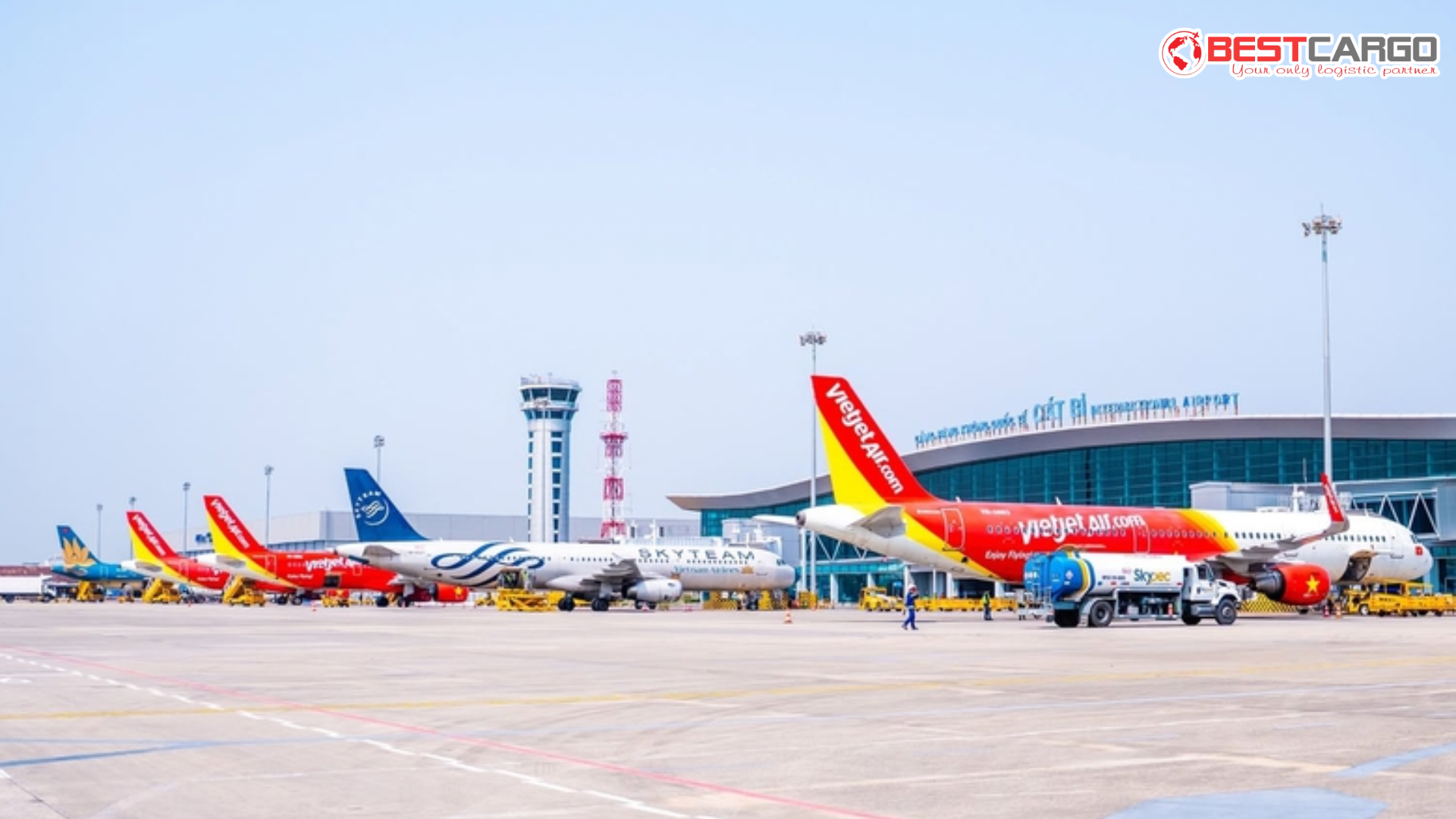 Hàng không: Diều sáo uy hiếp an toàn sân bay Cát Bi