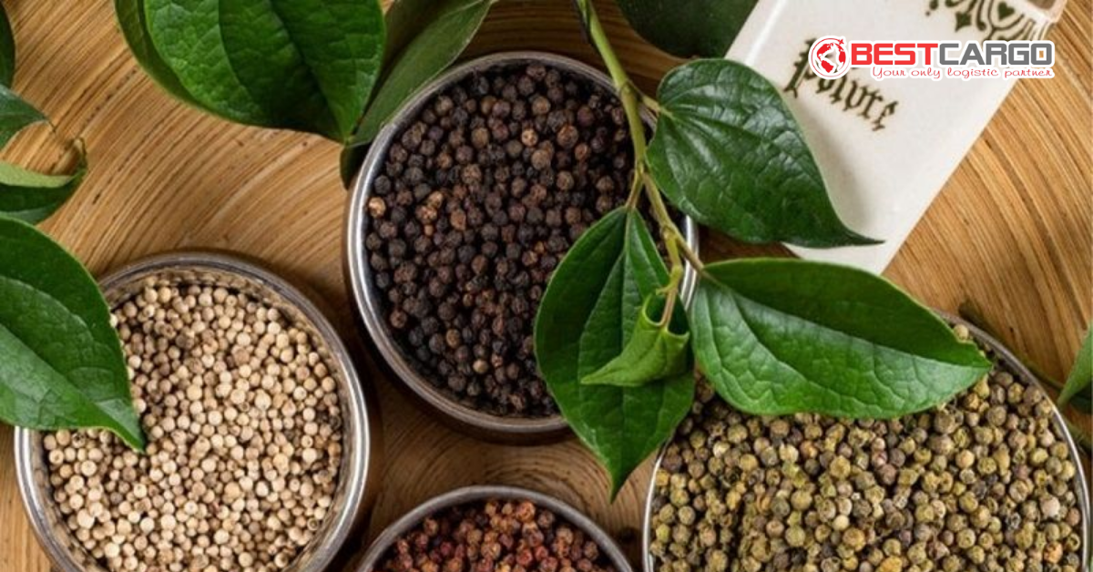 Các loại hồ tiêu thường được xuất khẩu