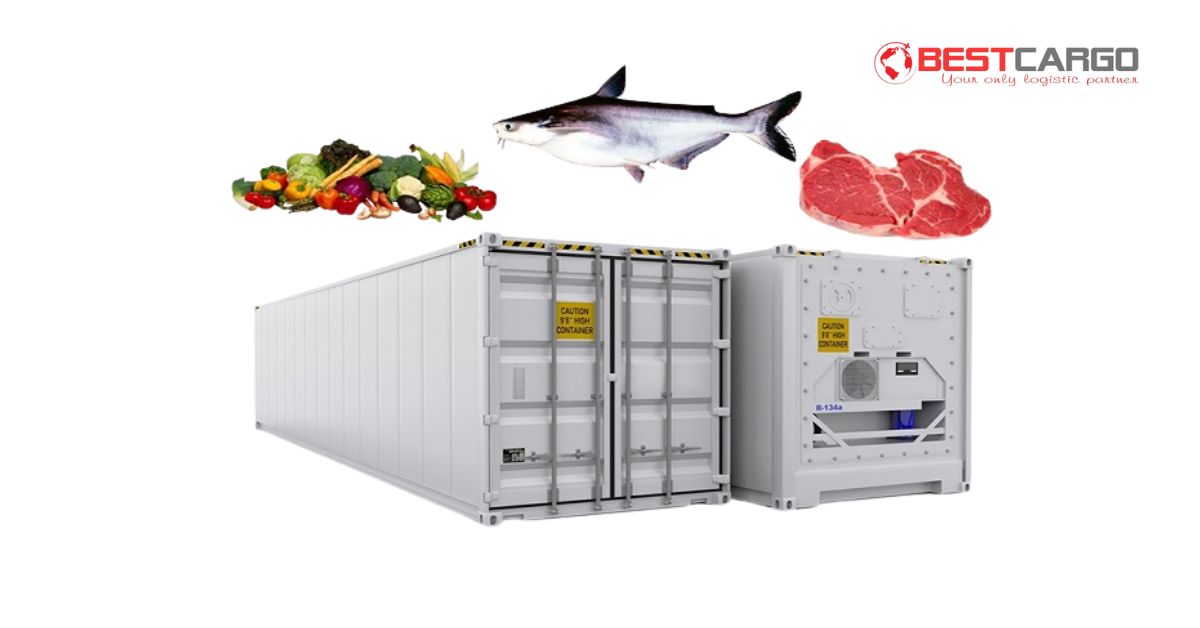 Chuỗi Lạnh Trở Thành Xu Hướng Trong Vận Chuyển Hàng Không Quốc Tế
