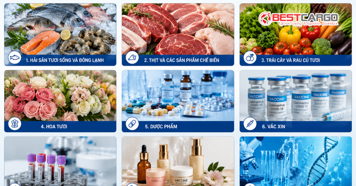 Những mặt hàng cần vận chuyển bằng chuỗi lạnh